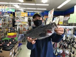 霞一文字堤にて大物釣果ありました フィッシング遊