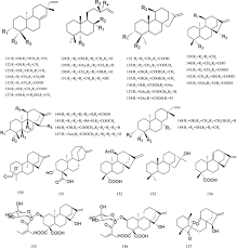 Image result for Pseudognaphalium oligandrum