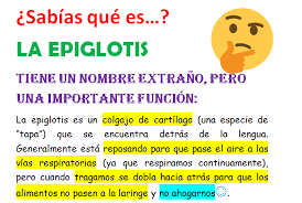 Resultado de imagen para sabias que 2018