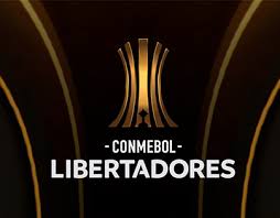 Reveja a final da conmebol libertadores 2019. Taca Libertadores Projects Photos Videos Logos Illustrations And Branding On Behance