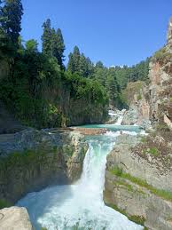 Aharbal Falls and Forest Pool