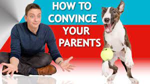 How To Convince Your Parents To Let You Have A Dog Youtube