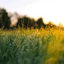 Download & share animated gifs. Urban Nature Gifs Get The Best Gif On Giphy