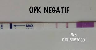 Hari ni check lagi upt negatif jugak.xda masalah kencing kotor.tapi doc cakap tgu lagi 2minggu kemungkinan pregnant. Beza Opk Positif Dan Opk Opk Upt Murah Ikhtiar Hamil Facebook