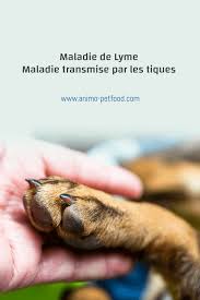 Borréliose ou maladie de lyme : La Maladie De Lyme Ou Borreliose De Lyme Une Maladie Transmise Par Les Tiques