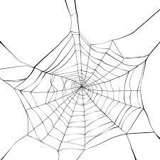 Spider web collection of vector illustrations with inscription isolated on white background. 46 278 Spider Web Vectors Royalty Free Vector Spider Web Images Depositphotos