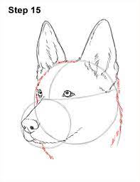 You can edit any of drawings via our online image editor before downloading. How To Draw A German Shepherd Video Step By Step Pictures