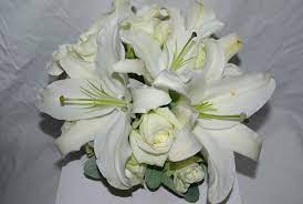 Simple, classic lily of the valley bouquet. White Asiatic Lilly With Dusty Miller White Lily Rose And Dusty Miller Bouquet White Lily Bouquet Wedding Flowers Lily Bouquet Wedding