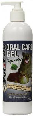 Petzlife Peppermint Oral Care Gel 12 Unzen Gesundheit Oralcare Care Gel Heal Care Gel Gesundheitoralcare Heal Oral In 2020 Oral Care Oral Natural Care