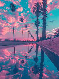It is situated along the south shore of long island in the town of islip, approximately 50 miles from new york city. Phone Wallpapers Palm Tree 700x934 Wallpaper Teahub Io