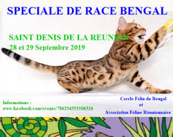 La réponse à la définition : Speciale De Race A La Reunion Cercle Felin Du Bengal