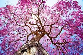 1 healthy way oceanside, ny 11572. Four Season Health Spa 3346 Long Beach Rd Oceanside Ny 11572 Usa