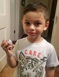 Found this beautiful bunny rock in the other library in harbor creek