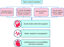 Image result for Atrial Fibrillation Rhythm Control
