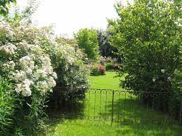 les jardins de roquelin val de loire album photos mon jardin de roses anciennes jardins jardins champetres jardin de roses