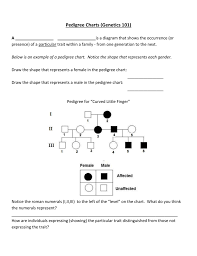 pedigree charts genetics 101