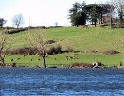 Italy, valentano, strada provinciale del lago mezzano. Lago Di Mezzano Valentano 2021 All You Need To Know Before You Go With Photos Tripadvisor