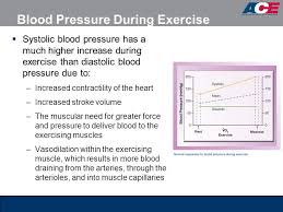Image Result For Normal Blood Pressure During Exercise Chart
