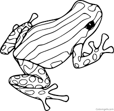 Yellow banded poison dart frog coloring page · blue poison dart frog coloring . Striped Poison Dart Frog Coloring Page Coloringall