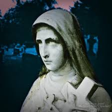 Missing black tri mini aussie in Santo, Texas