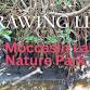 Drawing Life At Moccasin Lake Nature Park event image