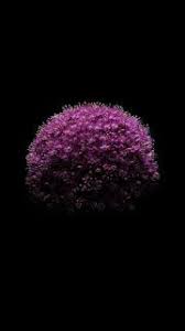 أجمل خلفيات موبايل ايفون Mobile Phone Wallpapers Reddit X Phone Wallpaper Mobile Phone Flowers