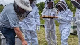 Honey Tasting & Tours