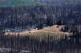 Forest service/dixie national forest, st. Burnt Vegetation Surrounds A Road Seen From A Point East Of Where The Fire Started At Brian Head Utah In Dixie National Forest A Few Miles Off State Route 143 On Tuesday