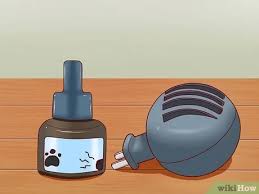 Kopekler Nasil Sakinlestirilir 12 Adim Resimlerle Wikihow