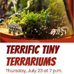 Terrific Tiny Terrariums