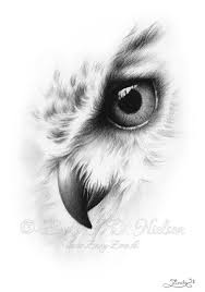 Faded Owl Portrait Animal Nature Bird Zindy Nielsen In 2020 Owls Drawing Owl Tattoo Drawings Realistic Drawings
