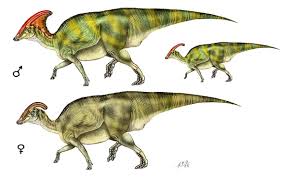 Facts About Parasaurolophus Parasaurolophus facts for kids, student & adults. facts about parasaurolophus
