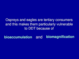 Describe A Predator Prey Interaction Not Hare And Lynx Ppt Download