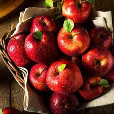 We did not find results for: Dwarf Red Delicious Apple Trees For Sale Fastgrowingtrees Com