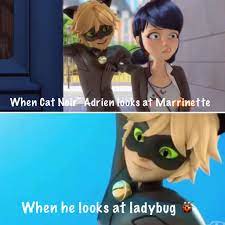 Meant To Be Miraculous Ladybug Memes Miraculous Ladybug Comic Miraculous Ladybug Funny