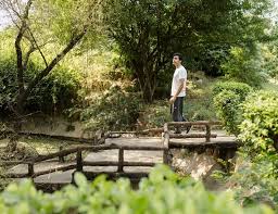 Ganaa – De-Addiction & Mental Health Rehabilitation Chain in India:  Verified Pricing, Reviews & Testimonials (Chattarpur, New Delhi)