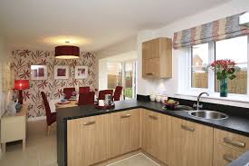 delicate black kitchen interior design