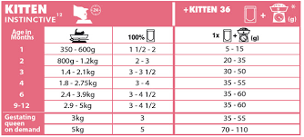 royal canin kitten jelly yavru kedi maması 85 gr 1 adet