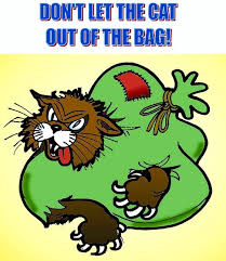 Don T Let The Cat Out Of The Bag Teaching Idioms Idioms Teaching Figurative Language