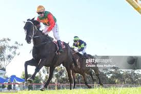 Image result for Handic 189