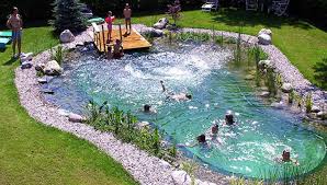 Ein Schwimmteich Stellt Eine Erhebliche Auch Bauliche Veranderung Des Gartenbildes Dar Und Sollte Daher Von Schwimmteich Naturschwimmbecken Naturschwimmbader