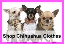 Chihuahua Puppy Growth Chart Chihuahua Dogs Clothes Chihuahua Dog Clothes