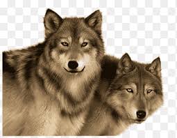 Gray and brown minecraft dog illustration, minecraft: Two Wolves Png Images Pngegg