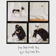 Whether he perks his ears when he hears your voice or cuddles up next to you any chance he gets, we're pretty sure your dog's heart is 100% yours. Colde Releases Your Dog Loves You Feat Crush Digital Single