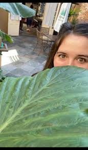 What is this plant with little attachments?