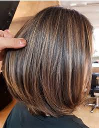 Short black hair with few silver and purple highlights underneath. Elegant Brown Hair Shades Highlights For Short Hair Stylezco