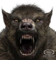 Please Do Not Tap On The Glass Case Werewolves Scare Easily Scare People That Is Werewolf Vampires And Werewolves Werewolf Art