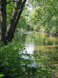 The official facebook for the river. Bronx River Wikipedia