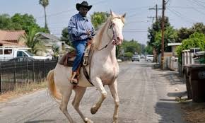Looking to watch concrete cowboy? Concrete Cowboy Review Idris Elba Saddles Up For Powerful Father Son Drama Film The Guardian