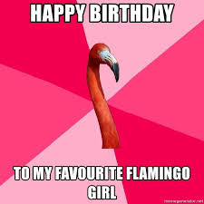 Happy Birthday To My Favourite Flamingo Girl Fanfic Flamingo Meme Generator